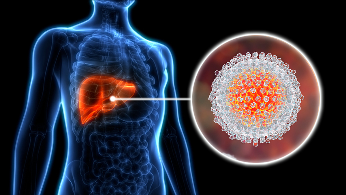 হ্যাপাটোলজি (Hepatology)